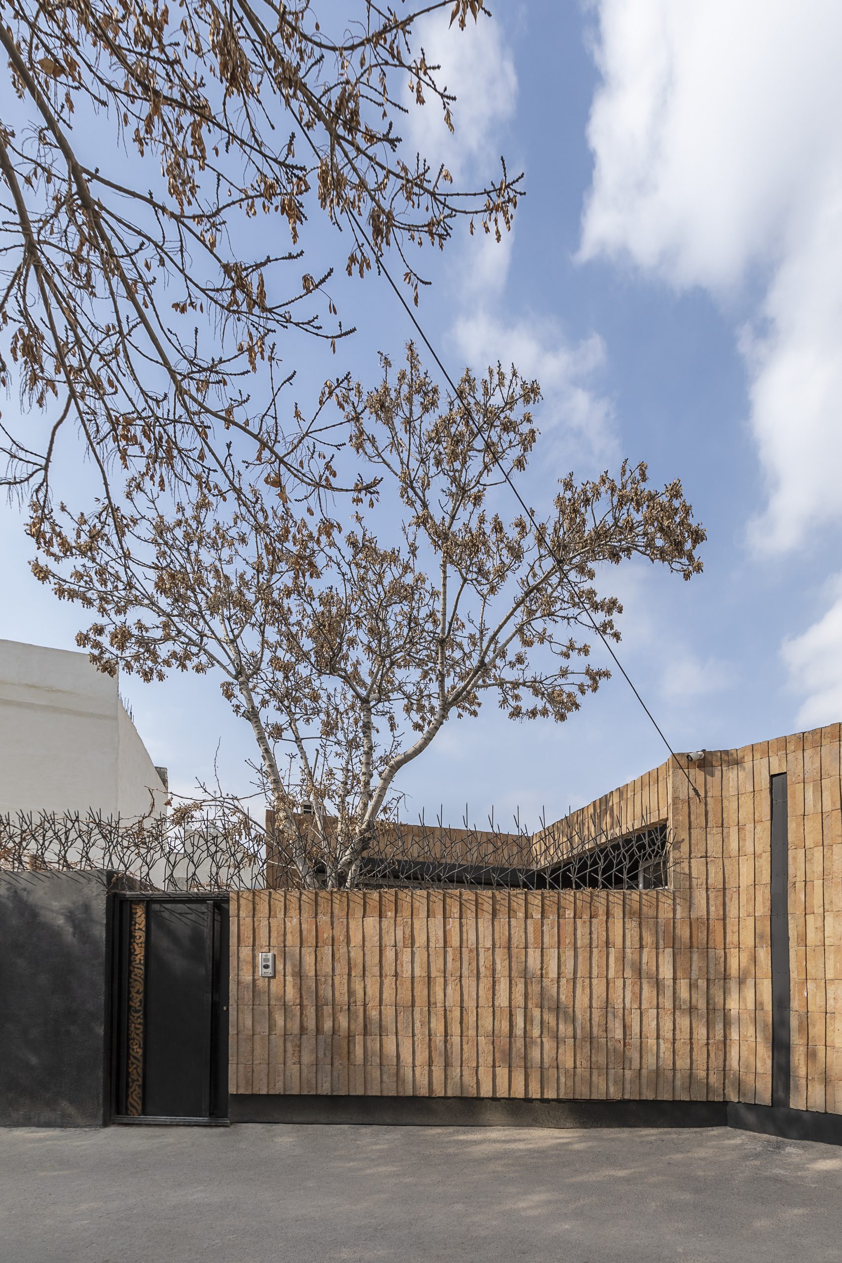 A Tree Studio Renovation Project